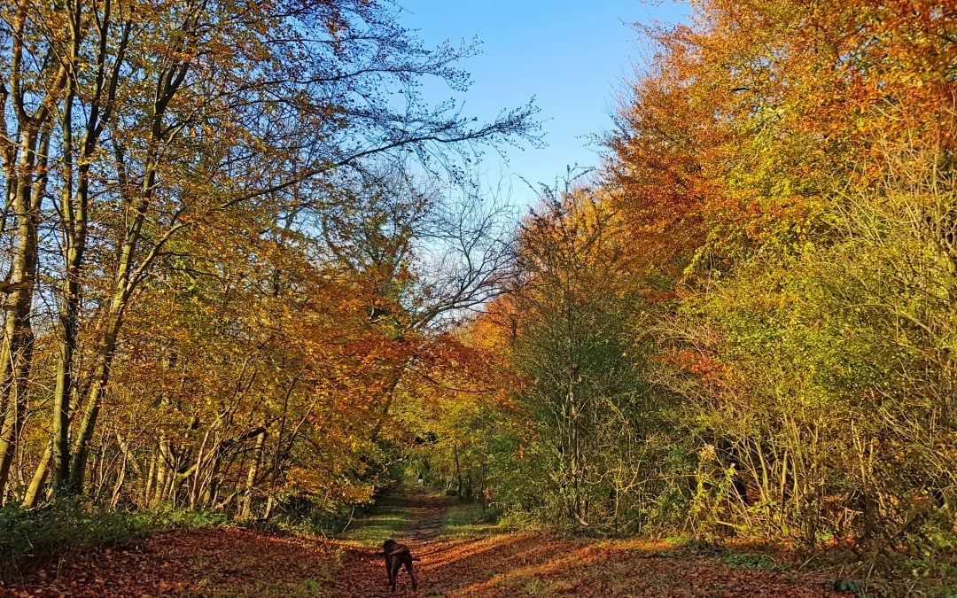 Best Places To Go In October In The Uk